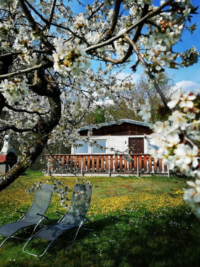 Ferienhaus Chiara, Suedharz, Harztor Ilfeld Buitenkant foto